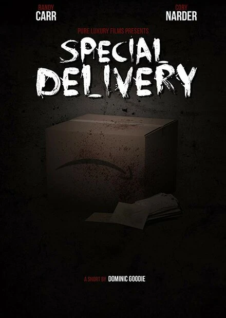 Постер Special Delivery 2016, США