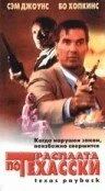 Постер Вершить правосудие 1995
