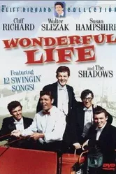 Wonderful Life постер