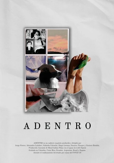 Постер Adentro 2021