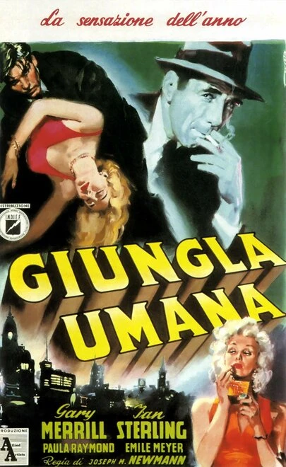 Постер Человеческие джунгли 1954