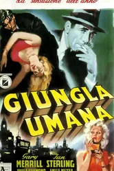 Человеческие джунгли 1954 постер