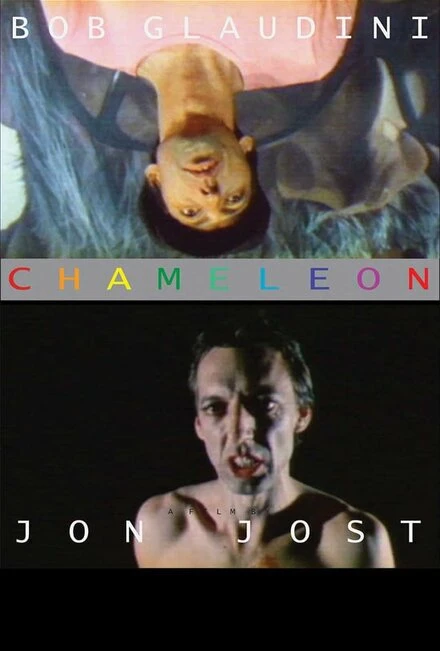 Постер Хамелеон 1978