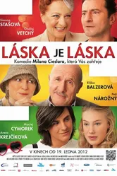 Любовь есть любовь 2012 постер