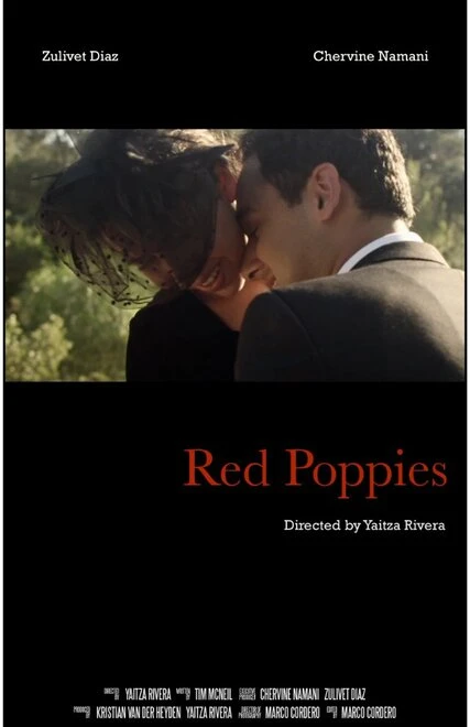 Постер Red Poppies