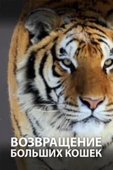 Возвращение больших кошек 2020 постер