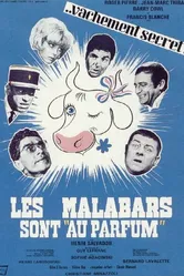 Силовики в курсе 1966 постер