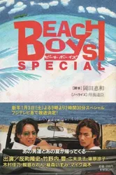 Beach Boys Special постер