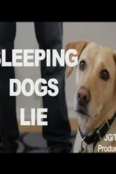 Sleeping Dogs Lie 2014 постер