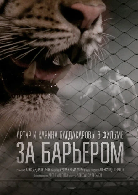 Постер За барьером 2016