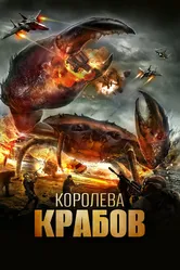 Королева крабов 2015 постер