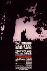 Das sind die Gewitter in der Natur постер