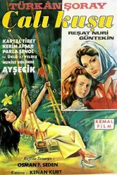 Королек – птичка певчая 1966 постер