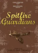 Spitfire Guardians постер