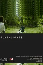 Flashlights постер