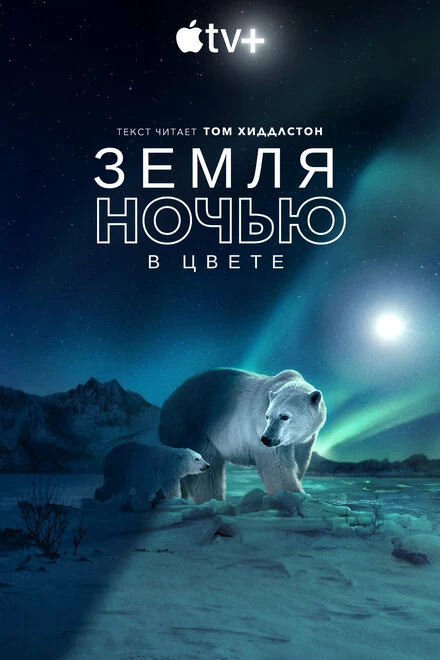 Постер Земля ночью в цвете 2020
