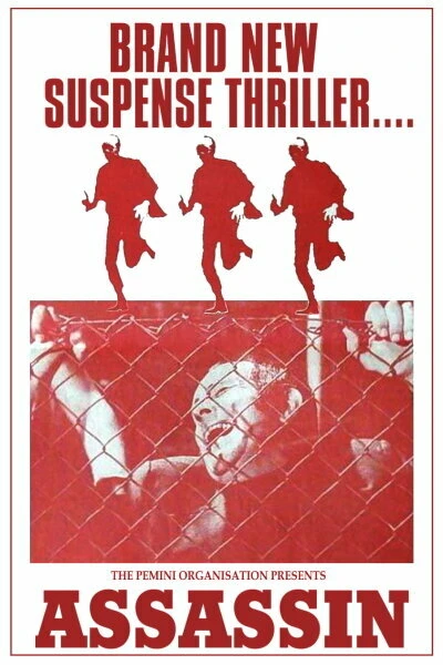 Постер Убийца 1973