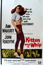 Кошечка с хлыстом 1964 постер