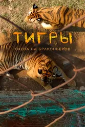 Тигры: Охота на браконьеров 2020 постер