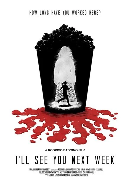 Постер I'll See You Next Week
