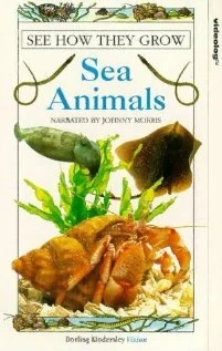 Постер See How They Grow: Sea Animals