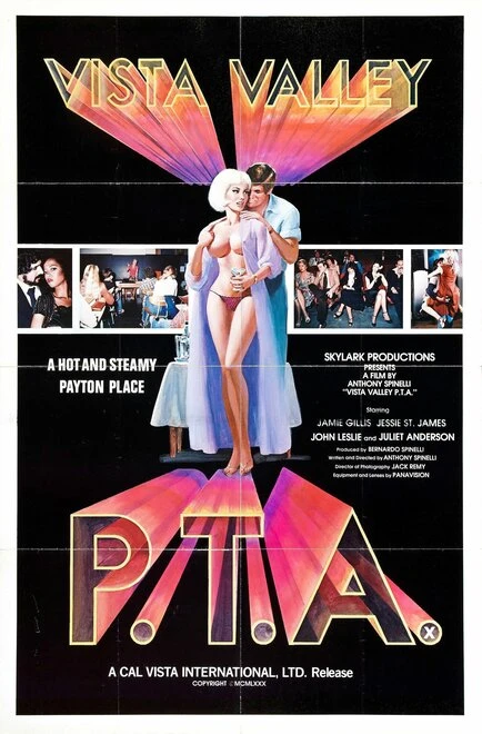 Постер Долина перспектив 1981