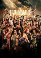 WWE Evolution постер