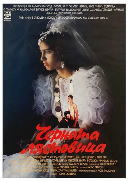 Постер Черная ласточка 1996