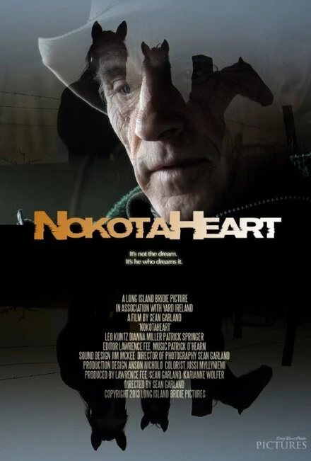 Постер NokotaHeart