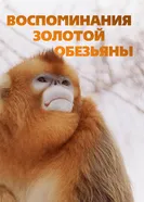 Воспоминания золотой обезьяны постер