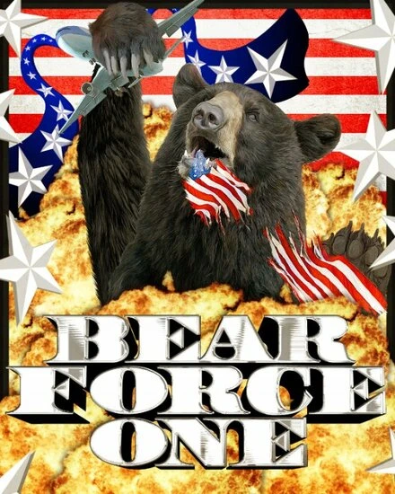 Постер Bear Force One