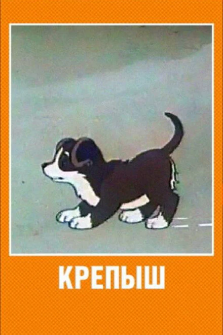 Постер Крепыш 1950