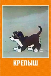 Крепыш 1950 постер
