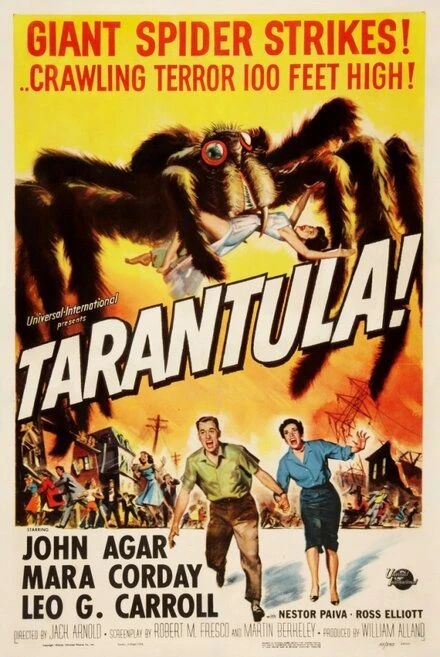 Постер Тарантул 1955