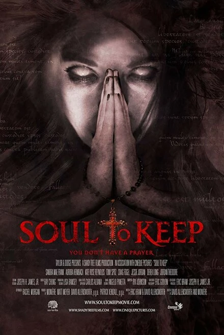 Постер Soul to Keep 2018