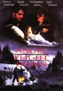 Постер Падение борта «Ангел» 1996