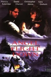 Падение борта «Ангел» 1996 постер