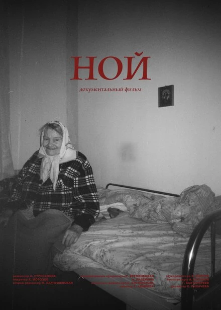 Постер Ной 2024