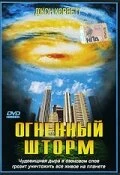 Постер Огненный шторм 1999
