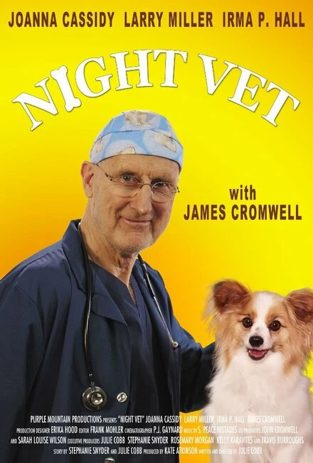 Постер Night Vet