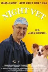 Night Vet постер