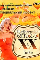 Приключения секса в XX веке 2012 постер