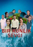 Однодневная любовь постер