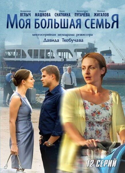 Постер Моя большая семья 2012