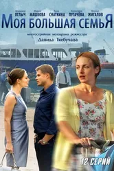 Моя большая семья 2012 постер