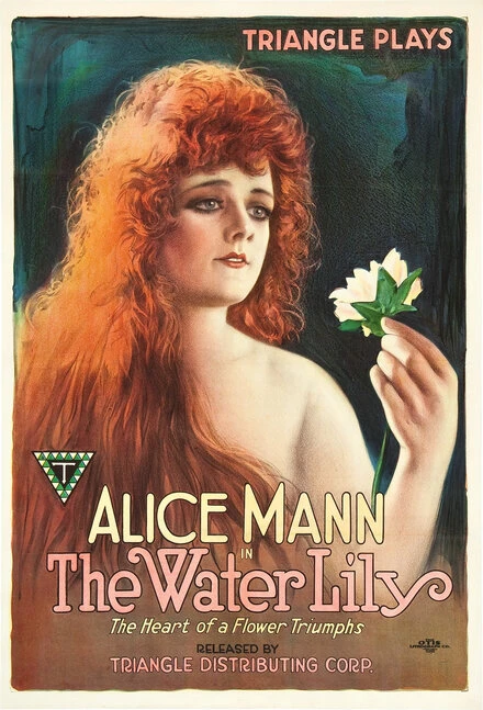 Постер The Water Lily