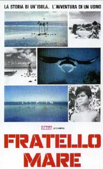 Постер Мой брат — море 1975