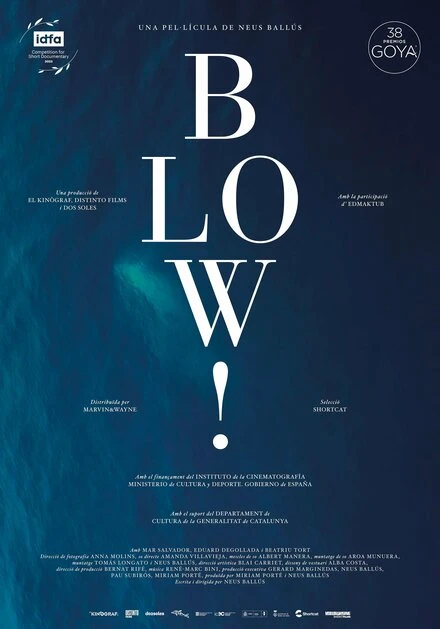 Постер Blow!