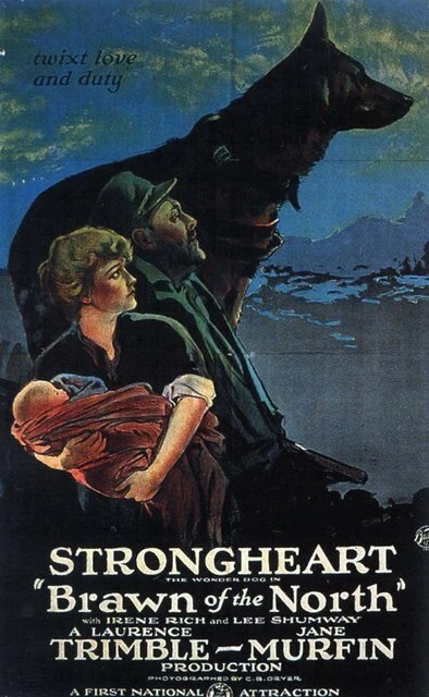Постер Браун с Севера 1922