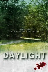 Daylight 2010 постер